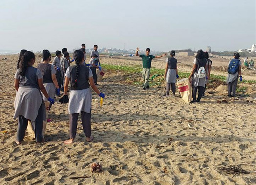 beach-cleaning