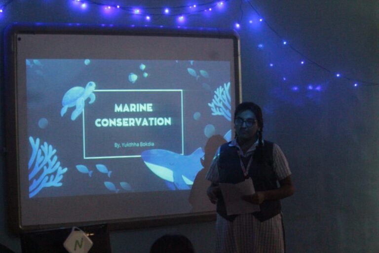 WhatsApp Image 2024-10-29 at 6.30.34 PM (1)