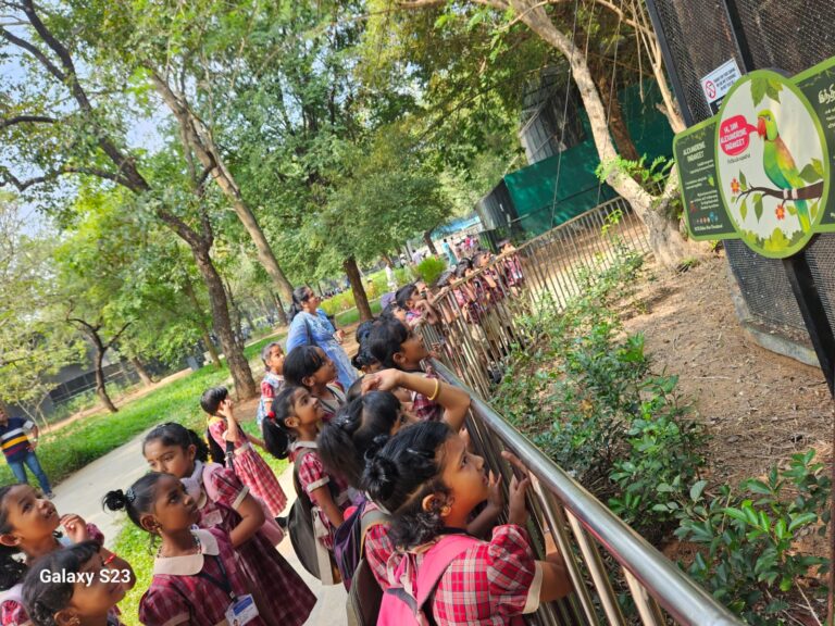 WhatsApp Image 2025-02-02 at 2.22.11 PM (1)