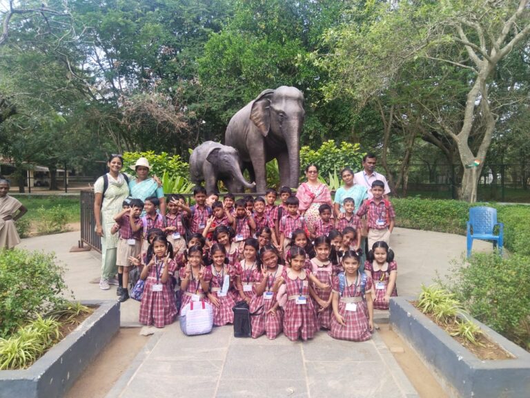 WhatsApp Image 2025-02-02 at 2.22.12 PM (1)