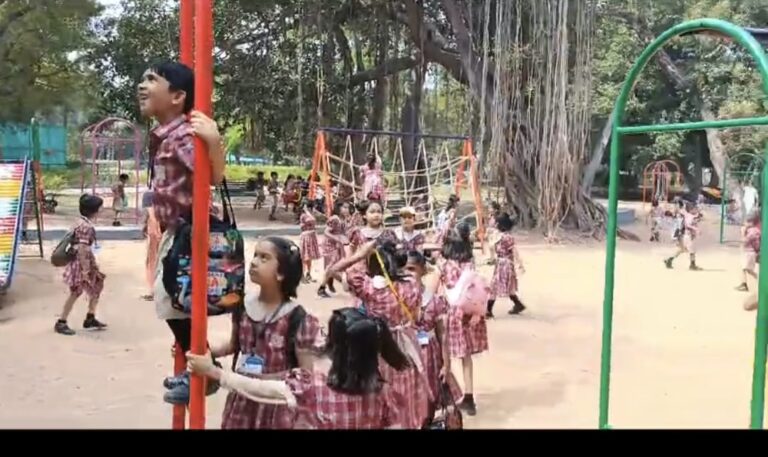 WhatsApp Image 2025-02-02 at 2.22.12 PM (3)